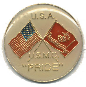 pin 1210 USA USMC Pride